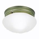 Ifm137ab 1bulb 60w Fixture Ab Light Ceiling