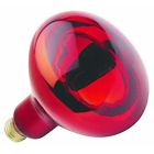 30721039171 Brooder Heat 250w Bulb