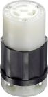 02313-000 Indust.20amp Leviton Mfg Co Inc Locking Connector Nylon 2 Pole 3w Nema L5-20r Csa B W Poly 078477419076