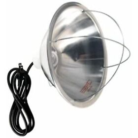 165binme Master Electrician Brooder Lamp With Bulb Guard And 10inch Reflector