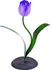 Ptp013-r1a-aa-1 Boston Harbor Decorative Tulip Solar Table Lamp In 718928713840