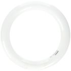S6501  Satco Pin Circline Lamp Daylight 000054741201