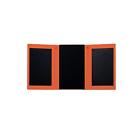 Sphe-org Solpro Helios Orange With Micro Usb Cable-visual Packaging 858780005056