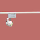 99844 Track Octagonal White Light Supply Renovator Lighting