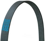 Serpentine Belt-turbo Dayco 5060850. Fixed Price $46.62.