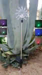 Solar Sun Light , Exciting Vibrant Color Change Led. Fixed Price $11.98.
