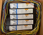 10 Pieces Universal B232PUNVHE-B 2-LAMP Programmed Start Electronic Ballast. Fixed Price $220.00.