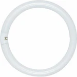 Satco FCT9/D 22W CIRCLINE-12PK. Fixed Price $77.71.