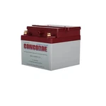 Concorde Battery RG24-11M. Fixed Price $1012.00.