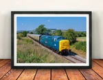 Framed Print 55019 Gloucester Warwickshire Railway Class Deltics Gifts. Fixed Price $57.28.