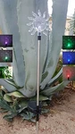 Set Of 2 Garden Decoration Exciting Vibrant Sun Solar Stick Color Change Light. Fixed Price $22.99.