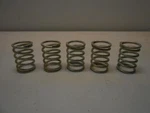 Ceco CE-PP579 Valve Spring 1" Length (lot Of 5). Fixed Price $19.63.