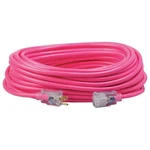 Southwire 2579SW000A Extension CORD,12 AWG,125VAC,100 Ft. L 55CW48. Fixed Price $223.49.