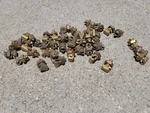 Ilsco 16-10 Str Split Bolt Connector Lot Of 44. Fixed Price $20.00.