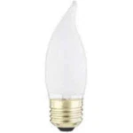 Satco Products S3767 120-VOLT 25CA10 Medium Base Frost Light Bulb 2IN Pk. Fixed Price $10.99.