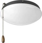 Progress Lighting Two-light Universal Opal Glass Fan Kit, Graphite. Fixed Price $22.68.