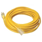 Coleman 025880002 Extension Cord, 12/3, 50 Ft. Fixed Price $122.04.