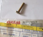 Yamaha Bolt Nos 90101-05579-00 (L-6924). Fixed Price $8.25.