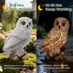 Solar-powered Garden Owl Statue: Led Light-up Resin Outdoor Decor & Gift. Fixed Price $25.82.