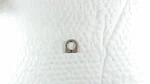 602923 Lawn-boy Seal Shaft. Fixed Price $5.62.
