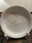 4 Noritake Sea & Sky Gems Dinner Plates 10 1/2" Set Shell B137 Vtg Japan. Fixed Price $50.00.