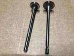 Briggs & Stratton Intake/exhaust Valves 262247S,262246S (H51*). Fixed Price $29.99.