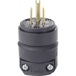 Leviton 515PR 15A 125V 2-POLE 3-WIRE Black Rubber Plug Nema 5-15P. Fixed Price $8.45.