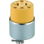 (10)-LEVITON 20A 125V 3-WIRE 2-POLE Armored Electrical Cord Connector 000-520CA. Fixed Price $86.89.