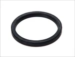 For Dt Spare Parts 3.10043 Seal, Crankshaft Oil. Fixed Price $22.96.