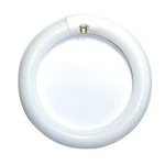 Satco S6501 8 Inch 22W T9 6500K Daylight G10Q Circline Fluorescent Bulb. Fixed Price $11.99.