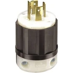 Leviton 021-02411-0PB Locking Plug, Black/white. Fixed Price $28.19.