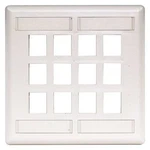 Hubbell Premise Wiring IFP212W Plate, Ports, White, Flush. Fixed Price $20.89.