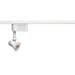 Track Lighting White Ribbed Renovator's Supply. Fixed Price $39.99.