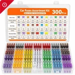 300PCS Car Assortment Kit &160 Mini Blade Fuses Automotive + 90 Standard. Fixed Price $12.99.