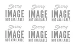 Siedle 200038785-00 Bus Button Module Dgr/gli Btm 650-01. Fixed Price $181.20.