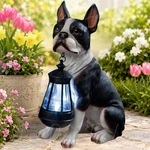 Solar Boston Terrier Dog Lantern Statue Outdoor Garden Porch Led Light Decor. Fixed Price $54.98.