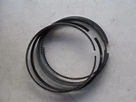Cummins 855 Diesel Engine Piston Ring Set 3014149. Fixed Price $35.99.