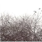 Simon Joyner - Lost With The Lights / New Audio Cd. Fixed Price $50.57.