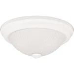 Canarm 13 In. White Incandescent Flush Mount Ceiling Light Fixture With Frosted. Fixed Price $19.00.
