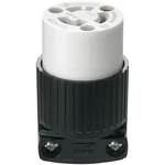 Eaton Wiring Devices WD4729 Twist Lock Connector, -pole, 15 A, 125 V, Nema:. Fixed Price $30.04.
