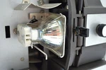 Projector Lamp Bulb Replacement Kit Retrofit Ez Install W/video Dja Dch Dfp. Fixed Price $52.99.