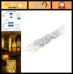 5FT 10-BULB Clear Mini String White Wire Non-connectable Fairy. Fixed Price $22.99.